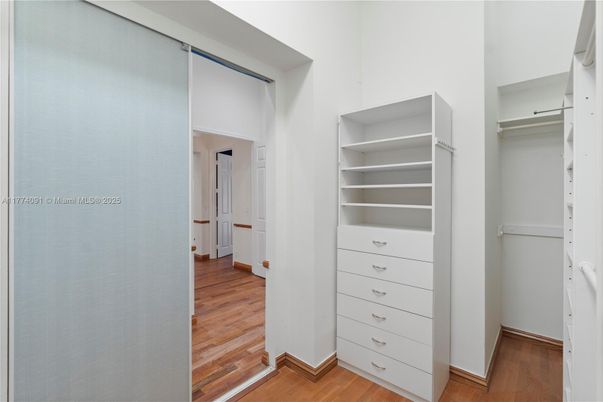 Interior, Walk-in Closets, Wood Texture Flooring