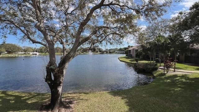Exterior, Lake