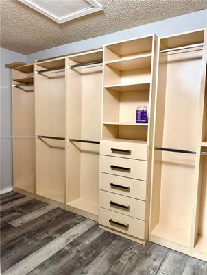 Interior, Walk-in Closets, Wood Texture Flooring