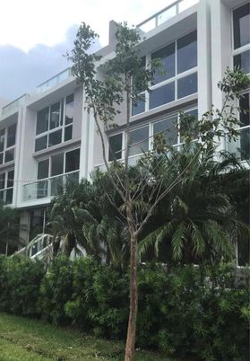 Exterior, Facade, Modern