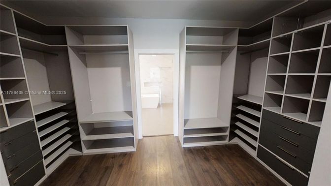 Interior, Walk-in Closets, Wood Texture Flooring