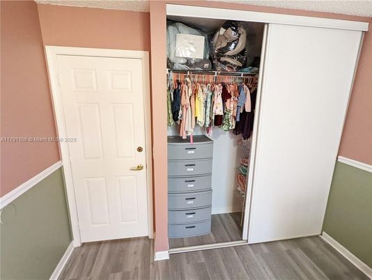 Interior, Walk-in Closets, Wood Texture Flooring