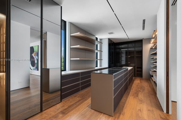 Interior, Walk-in Closets, Wood Texture Flooring