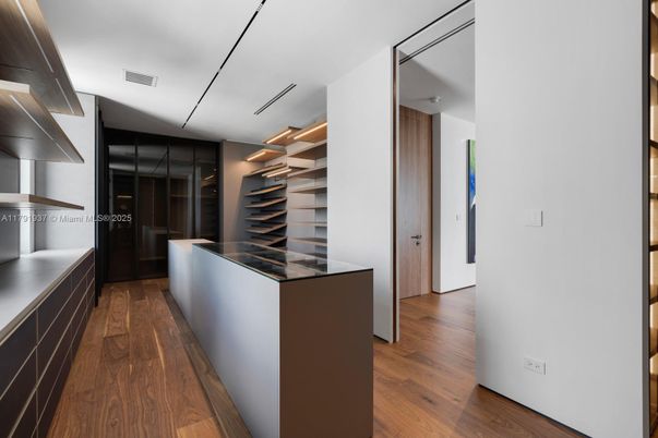 Interior, Walk-in Closets, Wood Texture Flooring