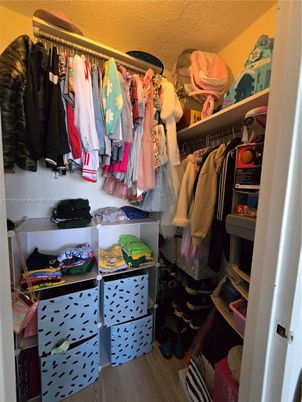 Interior, Walk-in Closets, Wood Texture Flooring