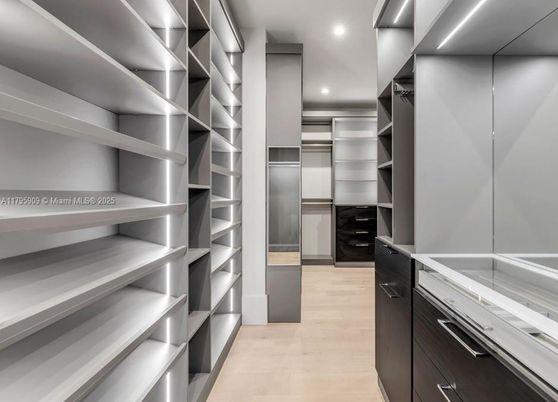 Interior, Recessed Lighting, Walk-in Closets, Wood Texture Flooring