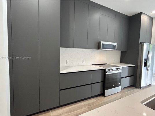 Interior, Kitchen, Stainless Steel Appliances, Wood Texture Flooring