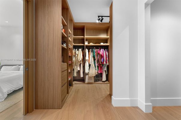 Interior, Walk-in Closets, Wood Texture Flooring