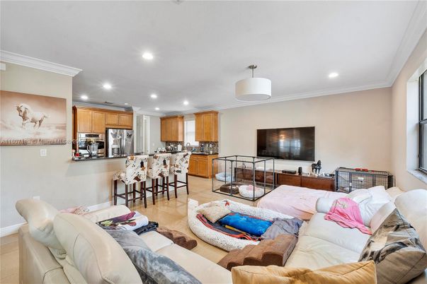 Interior, Kitchen, Living room, Recessed Lighting, Stainless Steel Appliances
