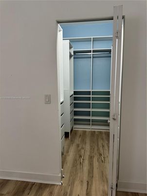 Interior, Walk-in Closets, Wood Texture Flooring