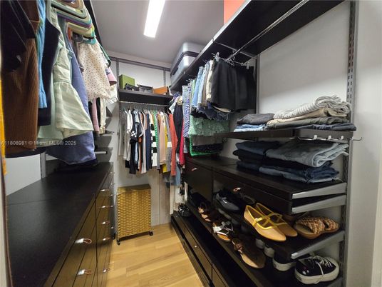 Interior, Walk-in Closets, Wood Texture Flooring