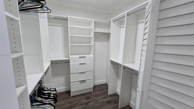 Interior, Walk-in Closets, Wood Texture Flooring