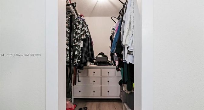 Interior, Walk-in Closets, Wood Texture Flooring