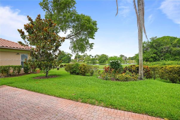Backyard, Exterior, Water