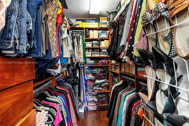 Interior, Walk-in Closets, Wood Texture Flooring