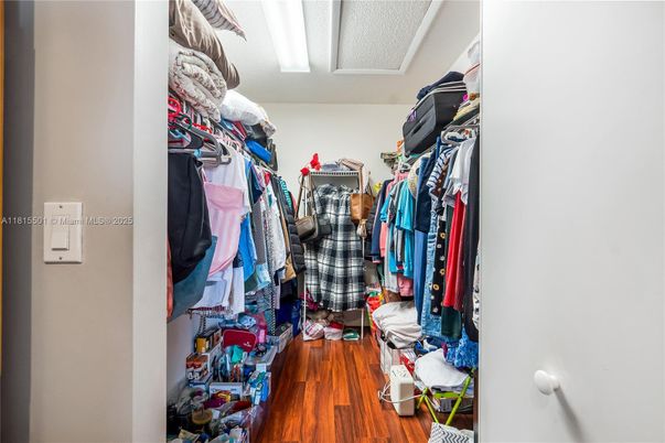 Interior, Walk-in Closets, Wood Texture Flooring