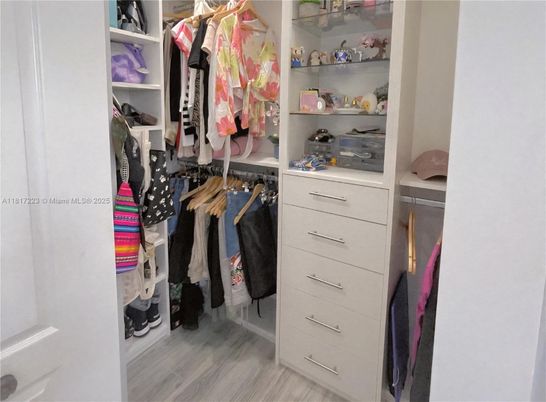 Interior, Walk-in Closets, Wood Texture Flooring