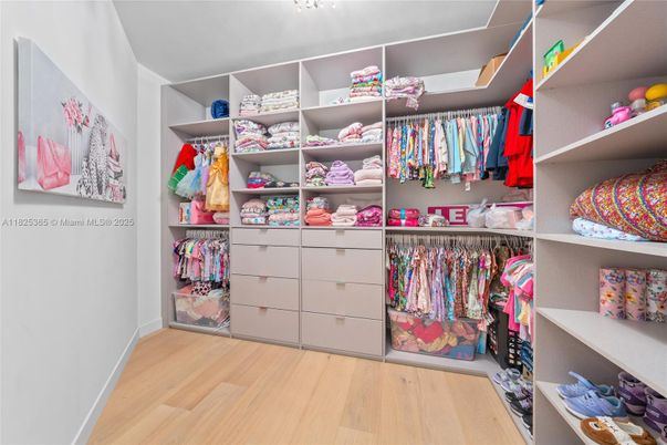 Interior, Walk-in Closets, Wood Texture Flooring