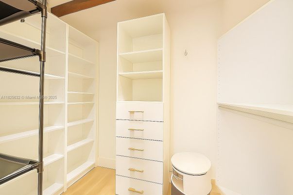 Interior, Walk-in Closets, Wood Texture Flooring