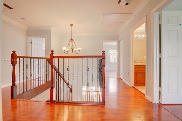 Chandelier, Interior, Wood Texture Flooring