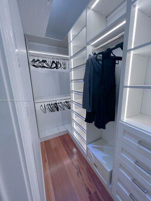 Interior, Walk-in Closets, Wood Texture Flooring