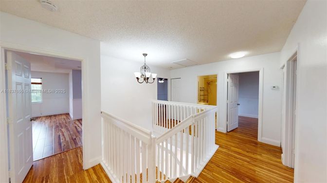 Chandelier, Interior, Wood Texture Flooring