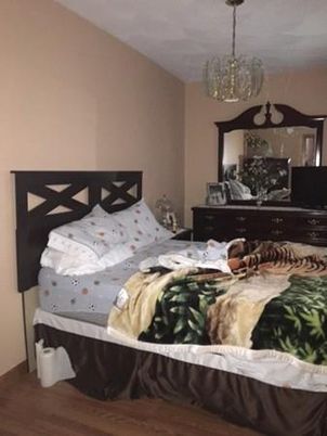 Bedroom, Chandelier, Interior, Wood Texture Flooring