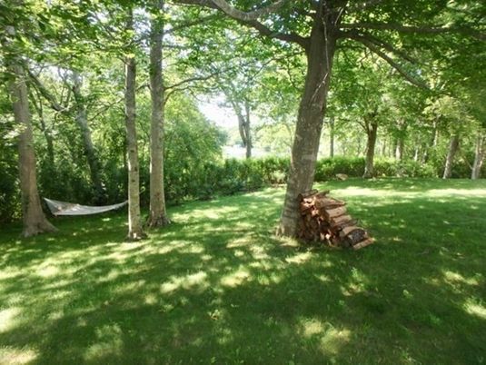 Exterior, Backyard