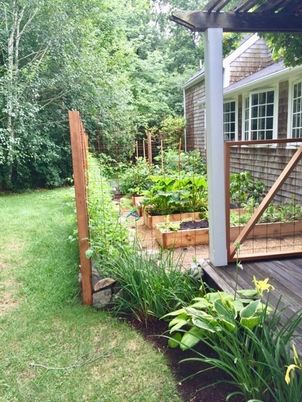 Exterior, Backyard