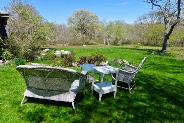 Exterior, Backyard
