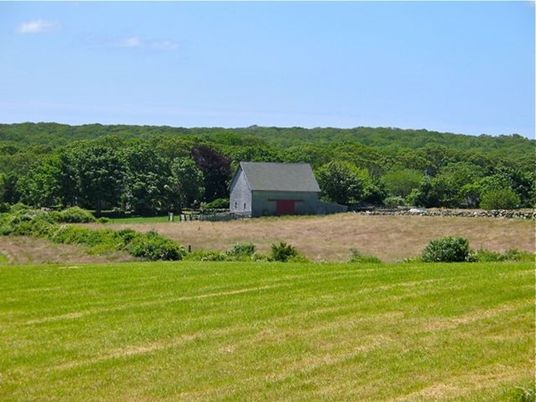 Exterior, Backyard, Detached Garage