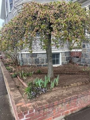 Exterior, Backyard