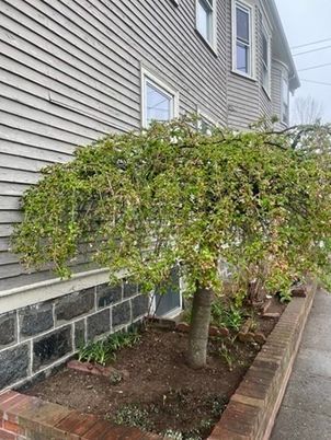Exterior, Backyard