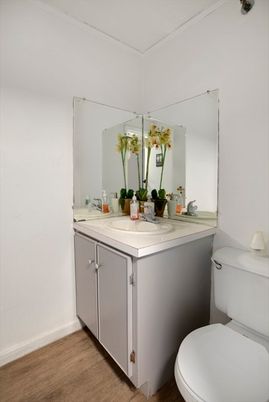 Bathroom, Interior, Wood Texture Flooring