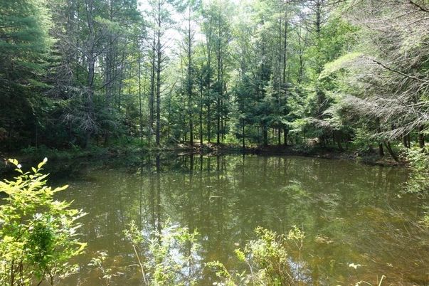 Exterior, Lake