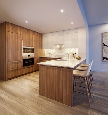 Interior, Kitchen, Marble Walls, Recessed Lighting, Stainless Steel Appliances, Wood Texture Flooring