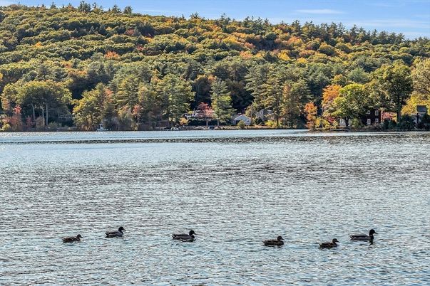 Exterior, Lake