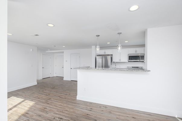 Interior, Kitchen, Pendant Lights, Recessed Lighting, Stainless Steel Appliances, Wood Texture Flooring