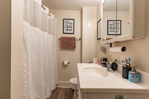Bathroom, Interior, Wood Texture Flooring