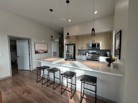 Interior, Kitchen, Pendant Lights, Recessed Lighting, Stainless Steel Appliances, Wood Texture Flooring