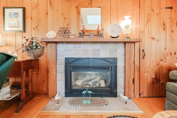 Fireplace, Interior, Wood Texture Flooring, Wooden Walls
