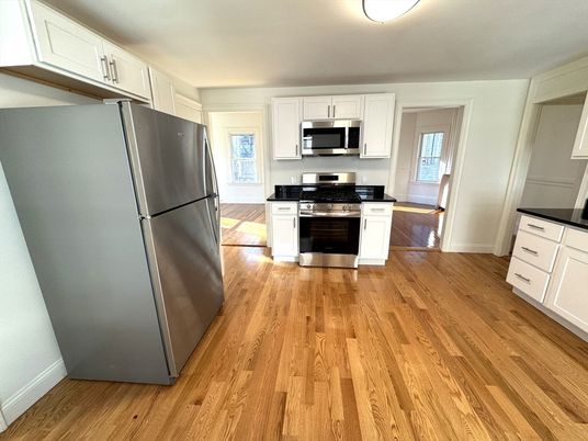 Interior, Kitchen, Stainless Steel Appliances, Wood Texture Flooring