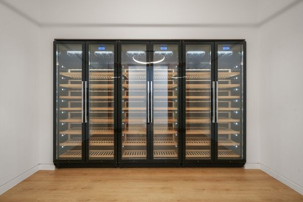 Interior, Wine Storage, Wood Texture Flooring