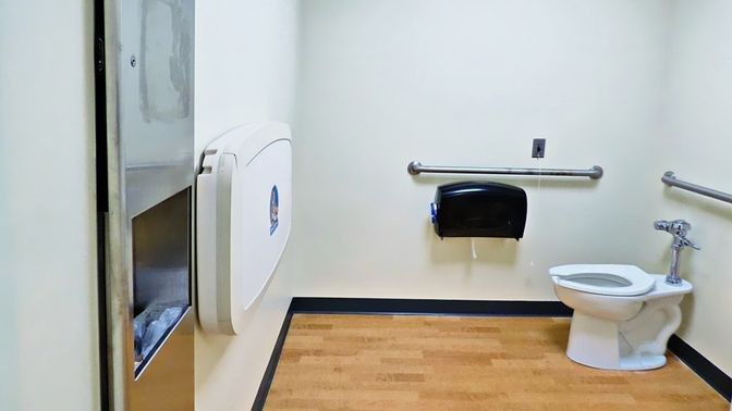 Bathroom, Interior, Wood Texture Flooring
