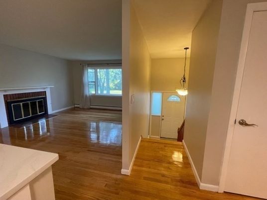 Empty room, Fireplace, Interior, Pendant Lights, Wood Texture Flooring