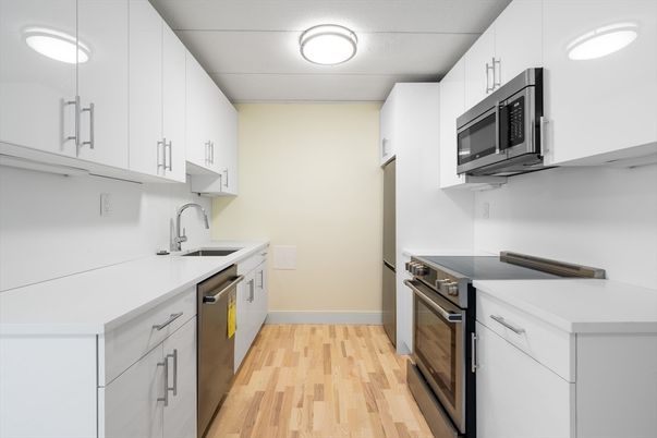 Interior, Kitchen, Stainless Steel Appliances, Wood Texture Flooring