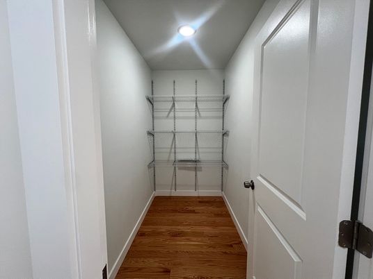 Interior, Walk-in Closets, Wood Texture Flooring