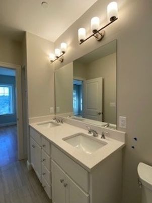 Bathroom, Dual Sink Vanities, Interior, Wood Texture Flooring