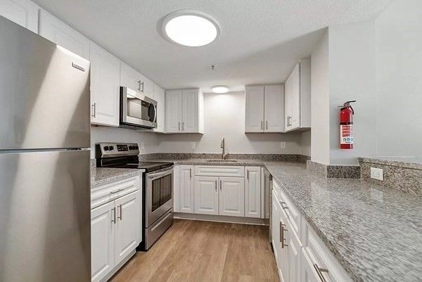 Interior, Kitchen, Stainless Steel Appliances, Wood Texture Flooring