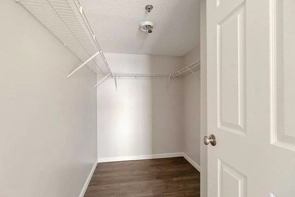 Interior, Walk-in Closets, Wood Texture Flooring